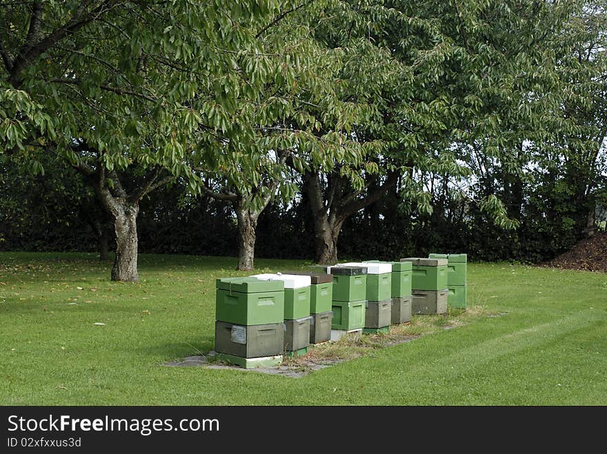 Danish bee-houses on green grass in garden close to trees. Danish bee-houses on green grass in garden close to trees.