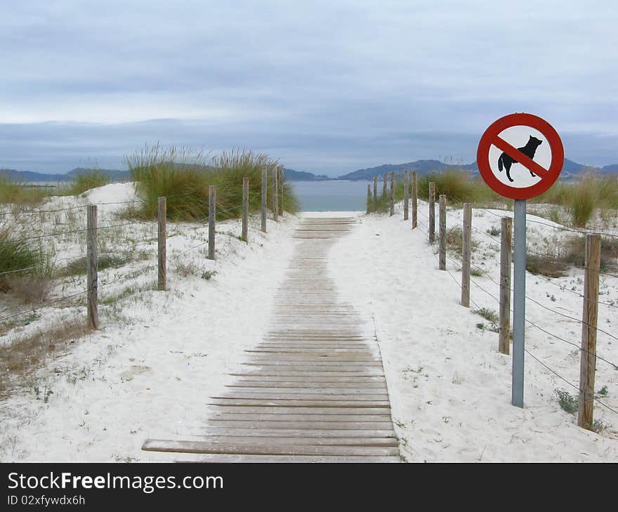 No dogs are allowed sign in front of the beach. No dogs are allowed sign in front of the beach.