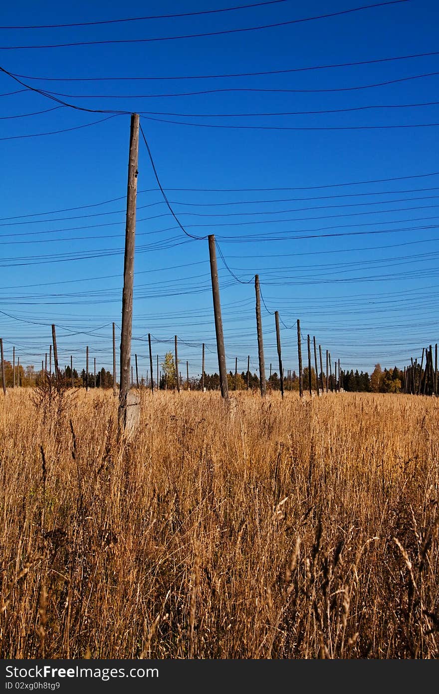 Landscape of a cereal field with columns. Landscape of a cereal field with columns