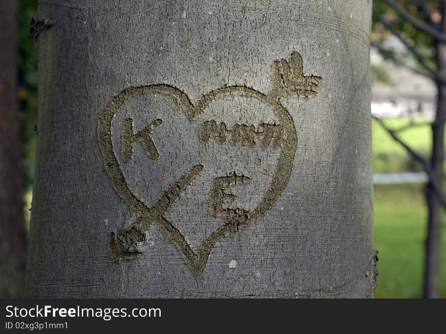 Heart shape with letters cut in tree bark outdoors in a Danish forest. Heart shape with letters cut in tree bark outdoors in a Danish forest.