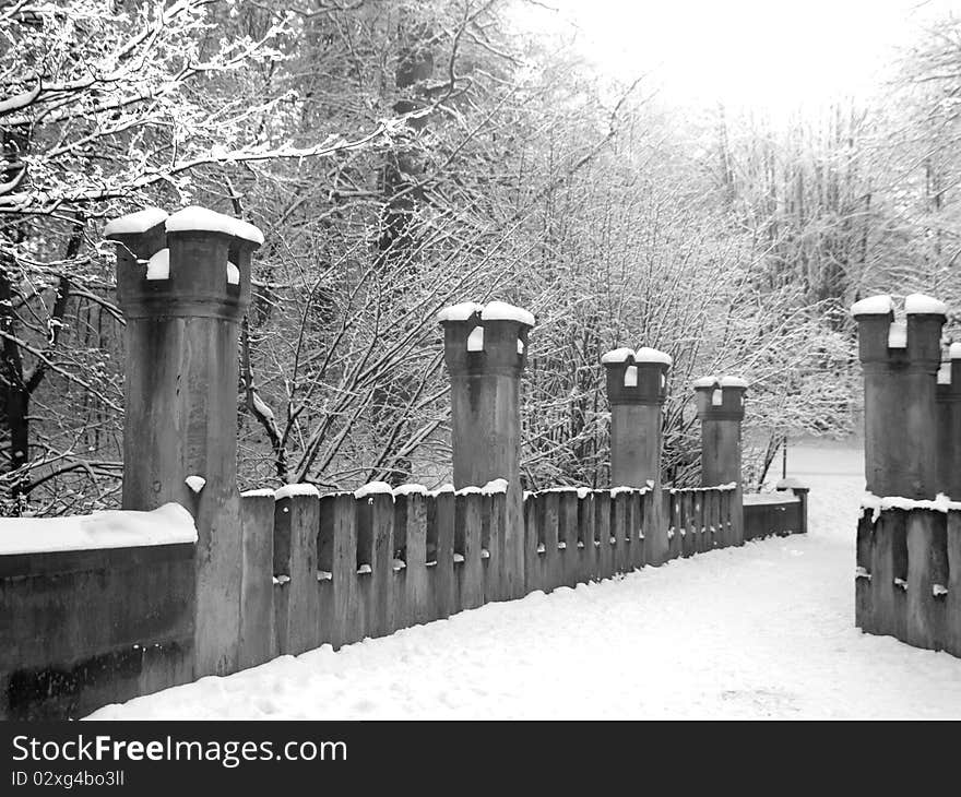 Black and white image of snowy Bridle Path in wood