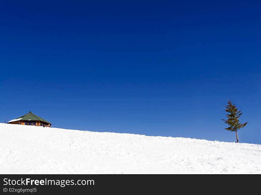 Alone house in the winter landscape