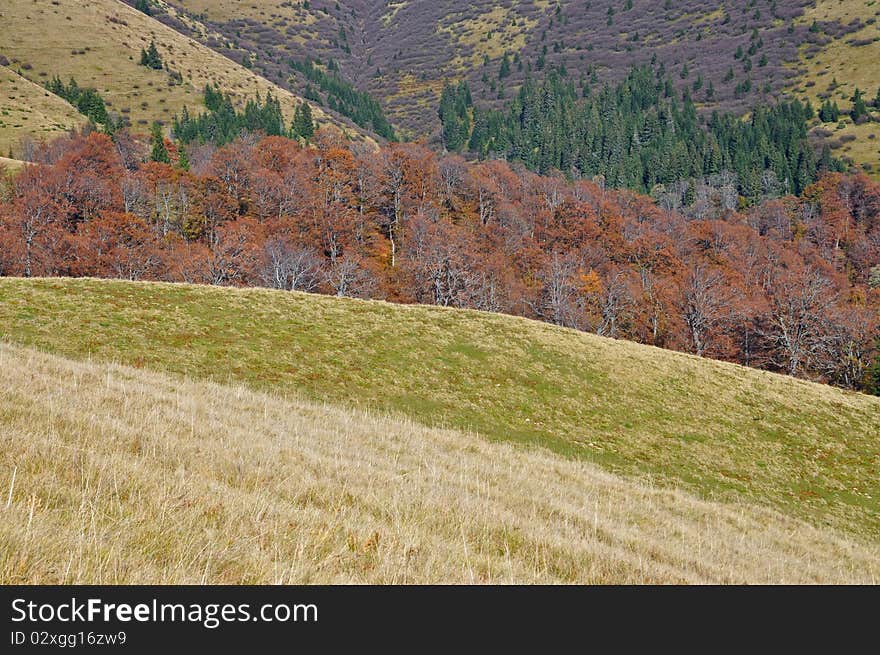 Autumn hillsides in a landscape with beechen wood. Autumn hillsides in a landscape with beechen wood