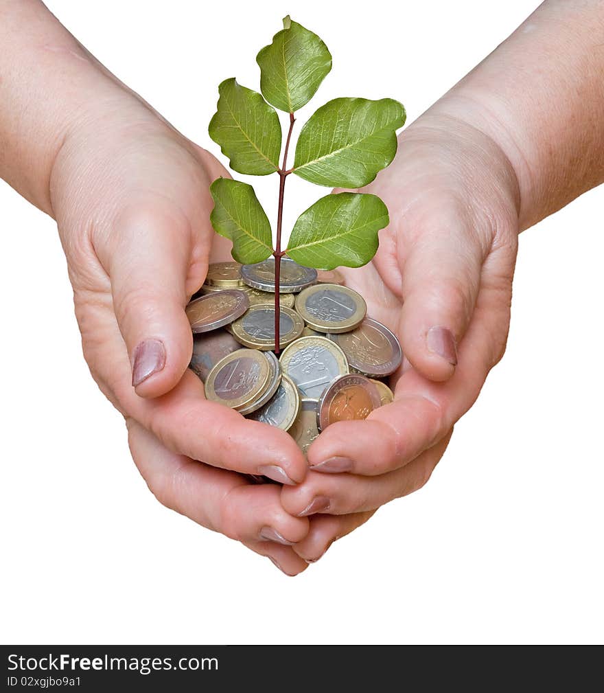 Palm with a tree growing from coins