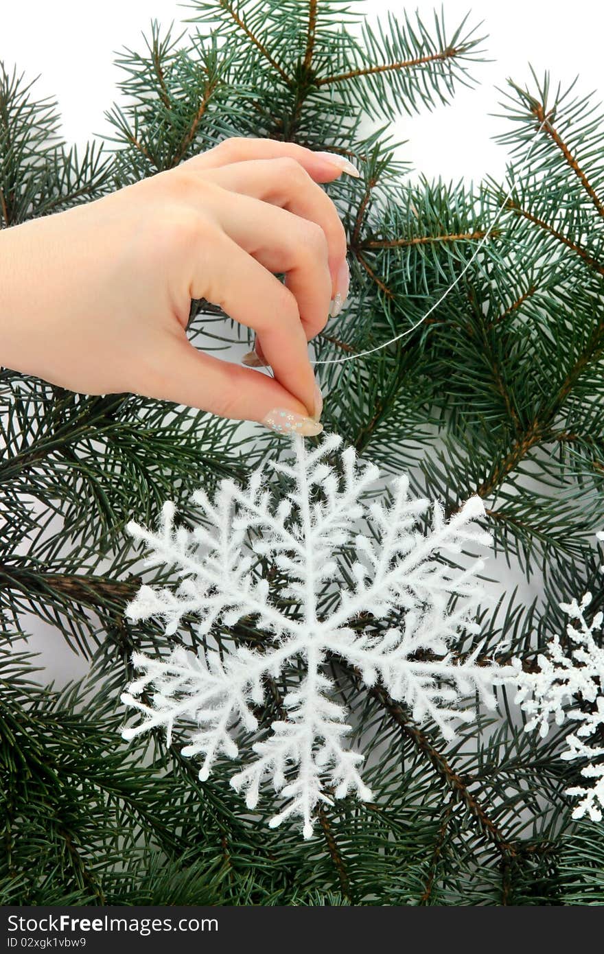 Female hand holding a snowflake on natural christmas tree. Female hand holding a snowflake on natural christmas tree