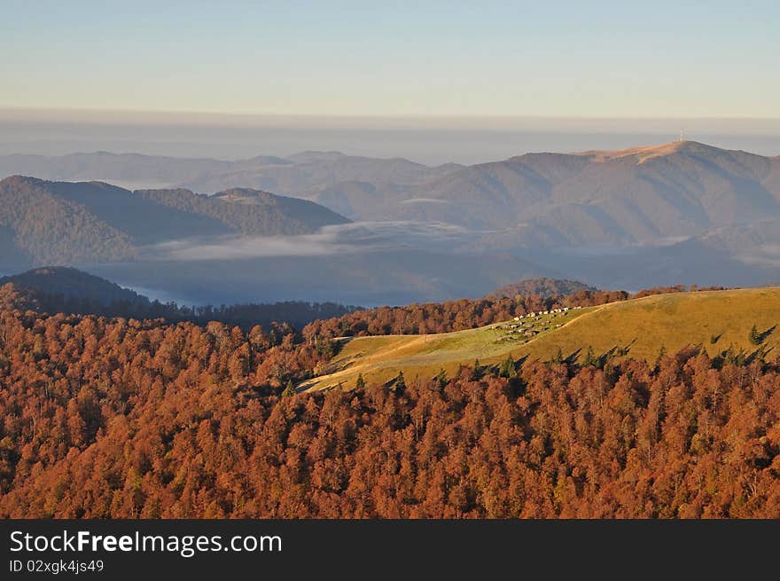 Autumn Morning In Mountains.