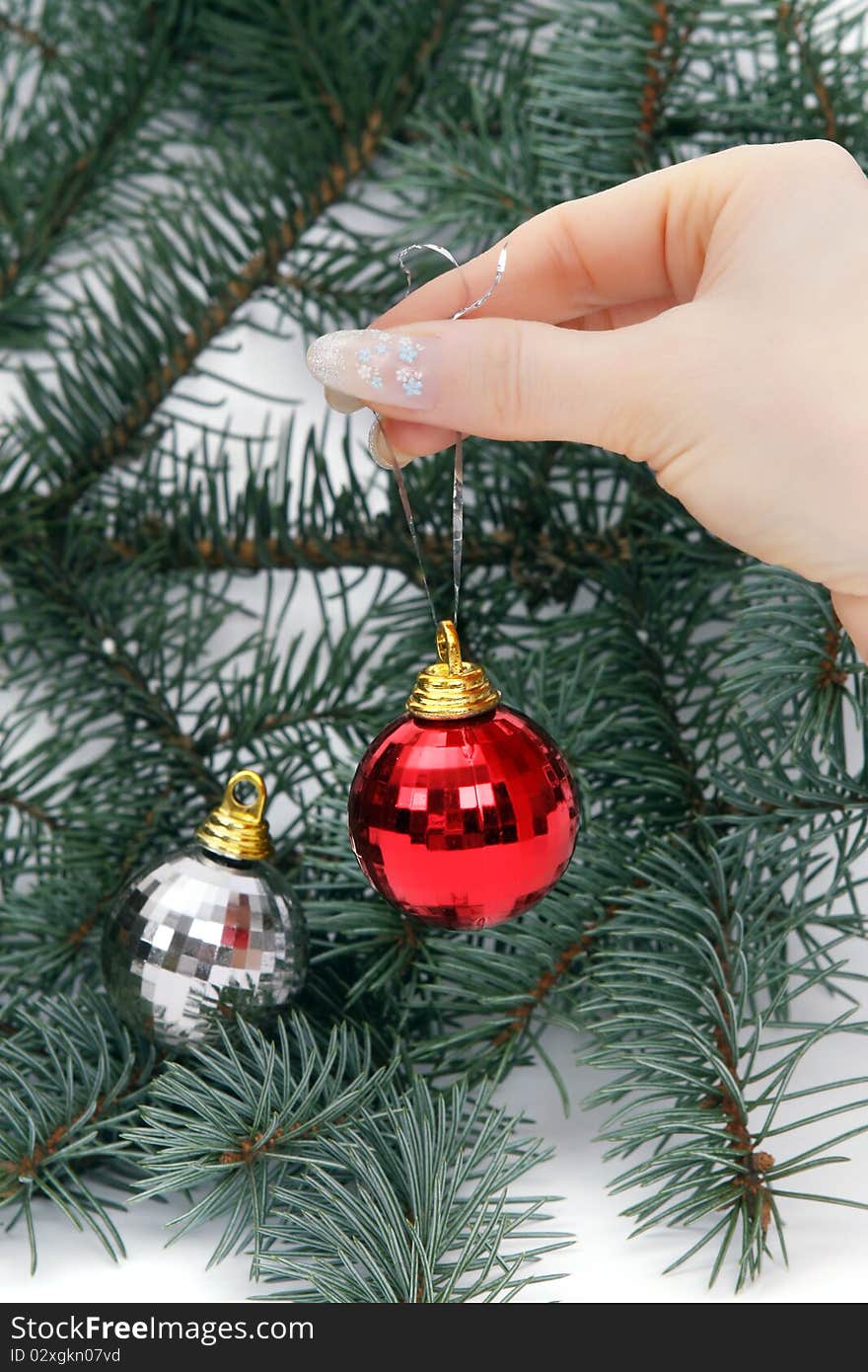 Female hand holding a Christmas ball on natural christmas tree. Female hand holding a Christmas ball on natural christmas tree