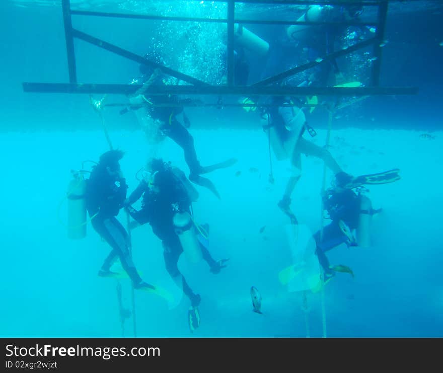 A group of scuba divers descend into the indian ocean. A group of scuba divers descend into the indian ocean