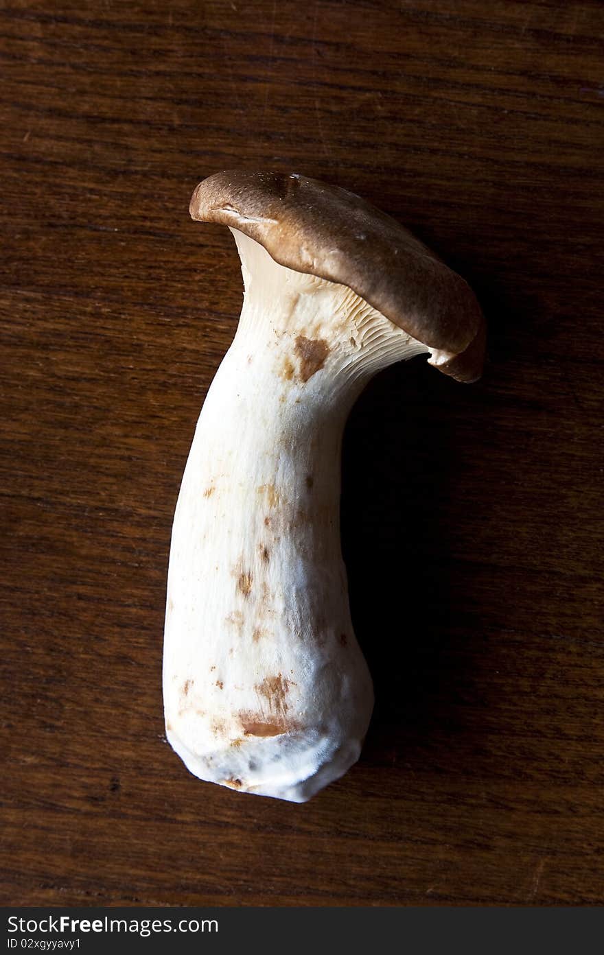 A fresh organic Eryngii mushroom on dark background