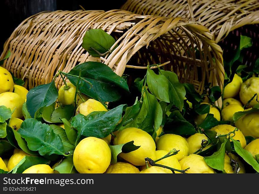 overturned basket, lemons, full frame