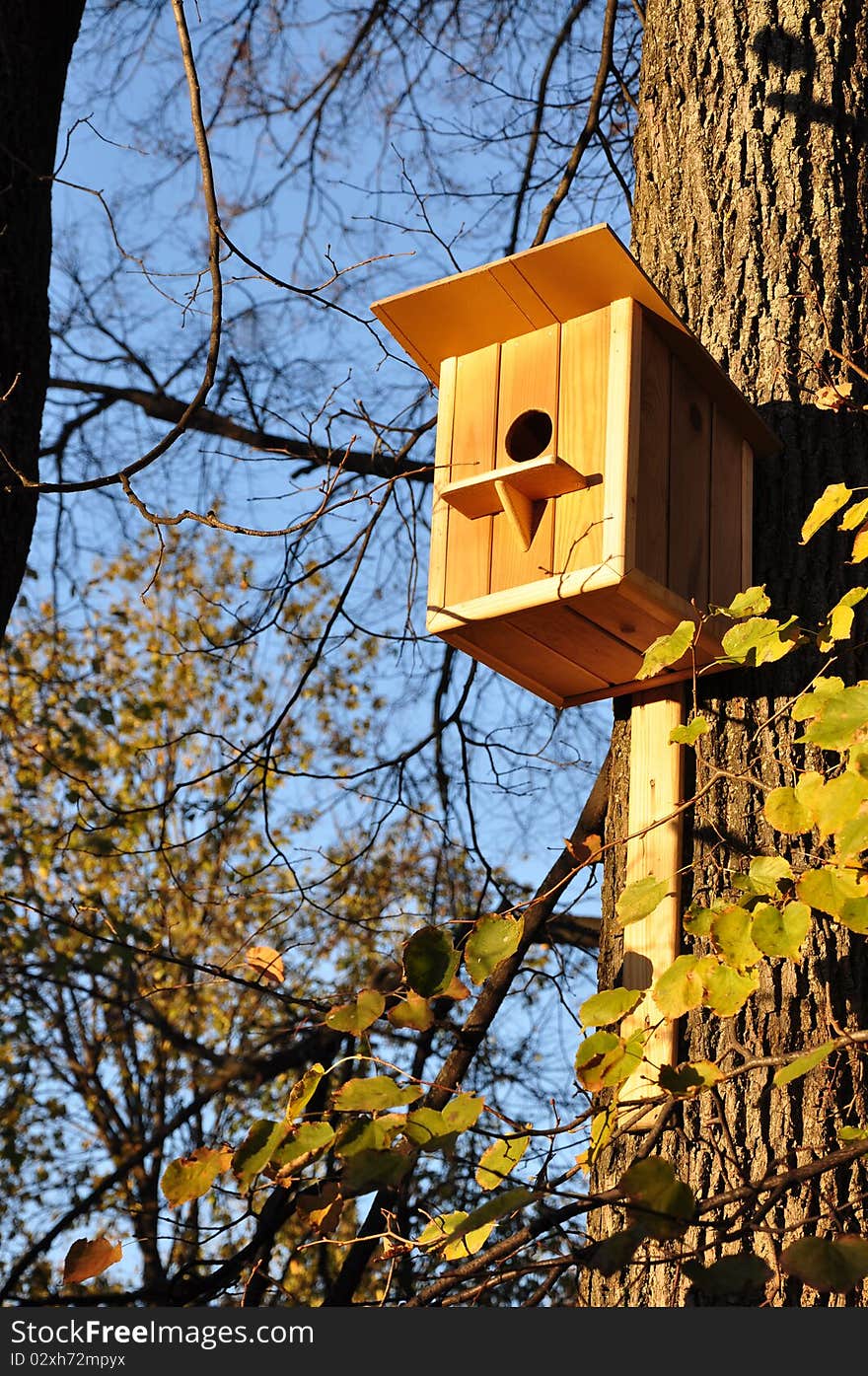 Birdhouse on a tree in the park. Evening. Birdhouse on a tree in the park. Evening.