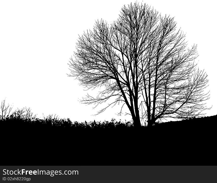 A fantastic high resolution graphic tree and landscape. Great used as a overlay texture or landscape element. A fantastic high resolution graphic tree and landscape. Great used as a overlay texture or landscape element.