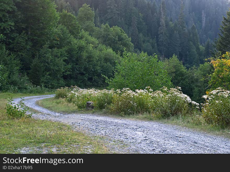 Widding country road through relict forest. Balneo climatic resort Shovi, the region of Racha, Georgia