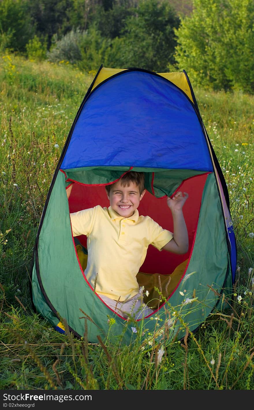 Happy boy in camping tent