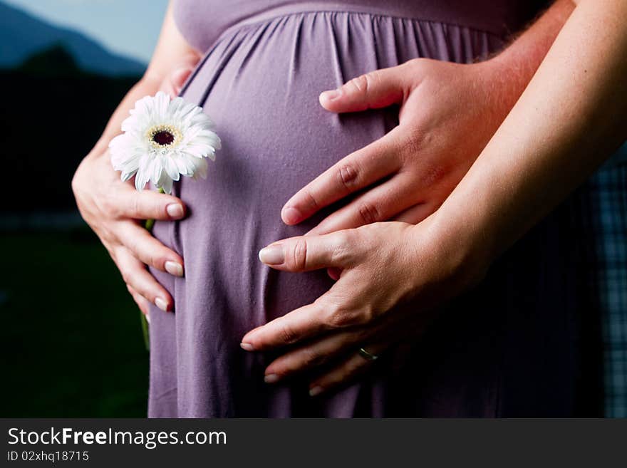 Belly of a pregnant woman with a flower in her hand and the hand of her husband. Blue sky in the background. Belly of a pregnant woman with a flower in her hand and the hand of her husband. Blue sky in the background.