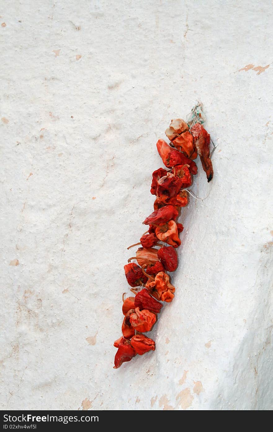 Dry red hot chili pepper on the wall