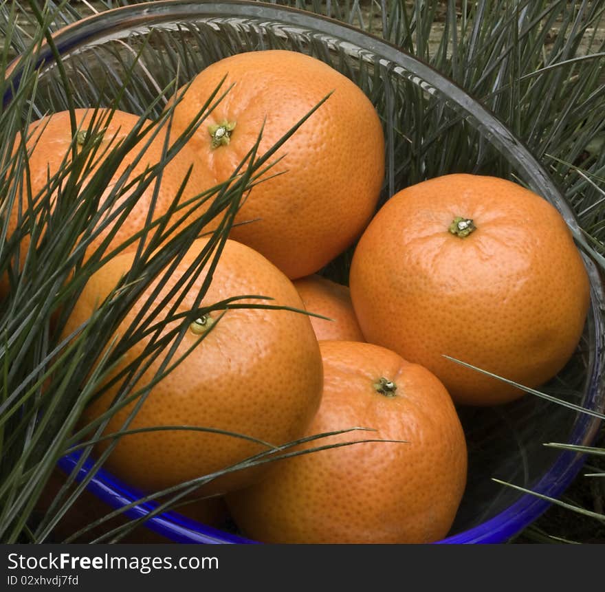 A glass bowl filled with oranges with grass in the background. A glass bowl filled with oranges with grass in the background