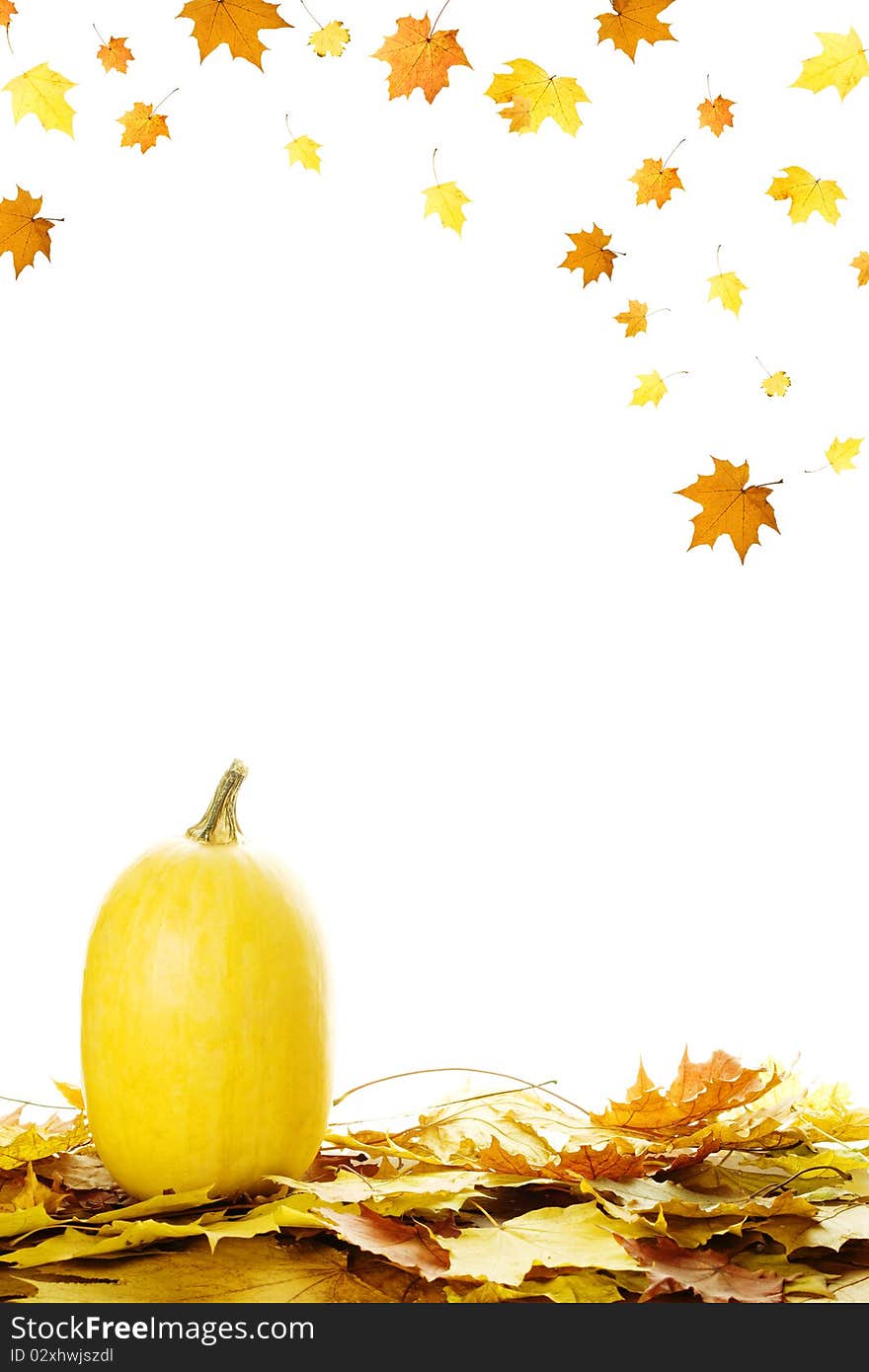 Fall leaves with pumpkin on white background, fall harvest frame. Fall leaves with pumpkin on white background, fall harvest frame