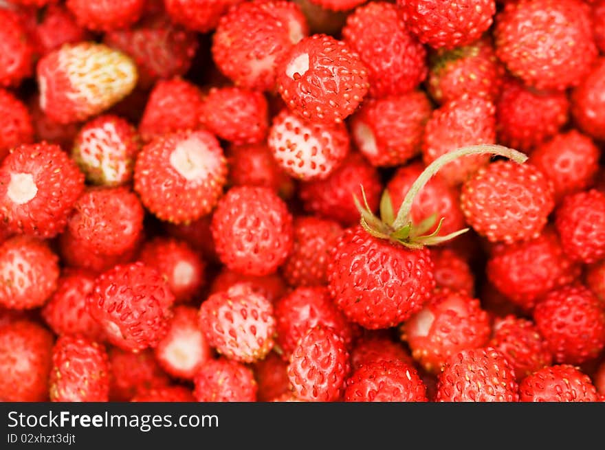 Red strawberry texture close up