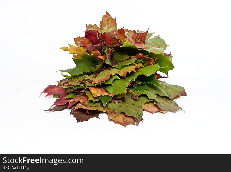 Stack of colorful autumn leaves