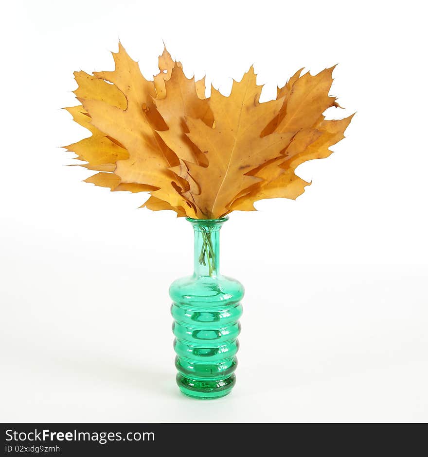 Autumn bouquet of oak leaves in a vase with colored glass on a white background