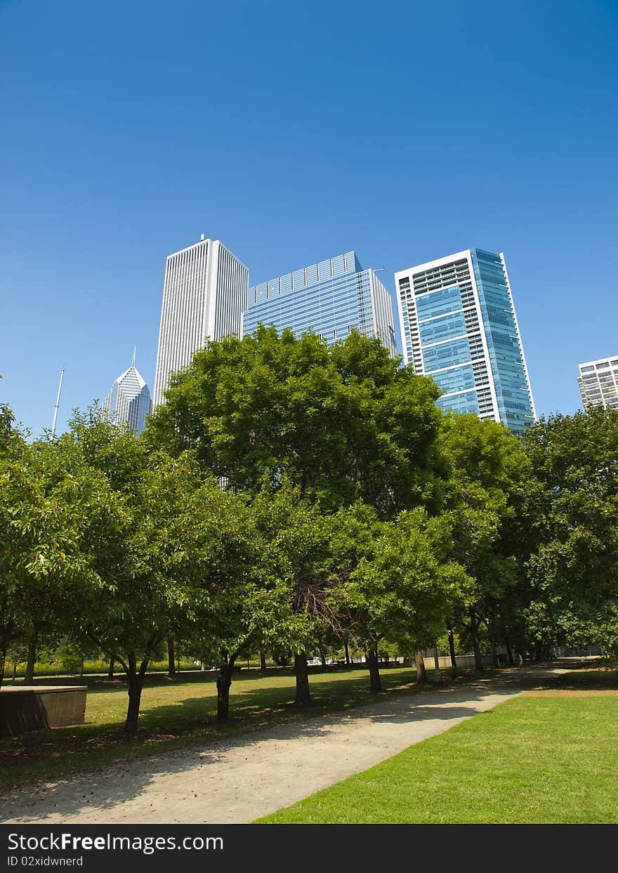 Chicago skyscrapers form Butler Field Park. Chicago skyscrapers form Butler Field Park