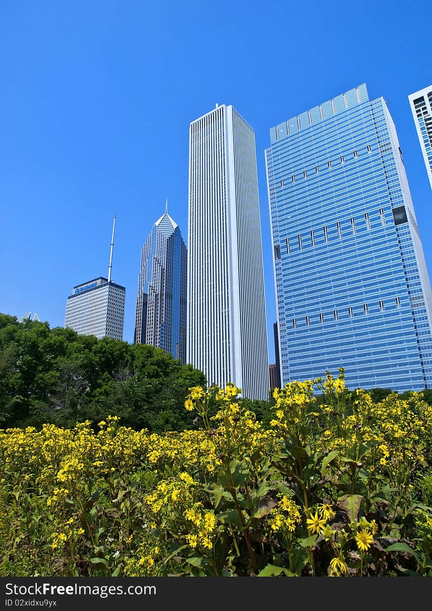 Butler Field, Chicago