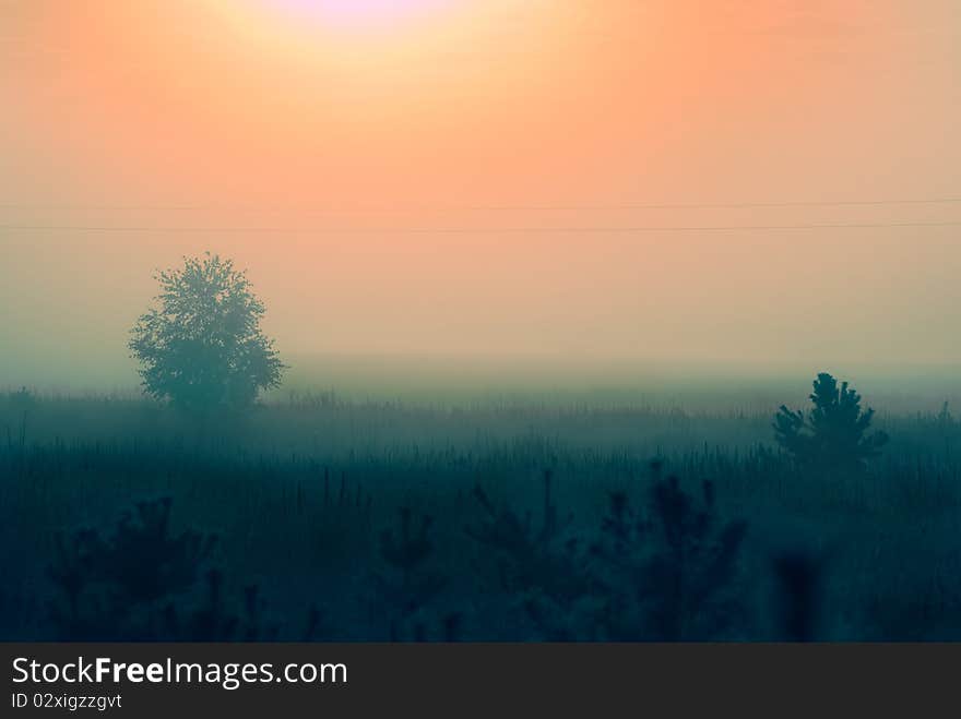 Early morning sunrise with mist