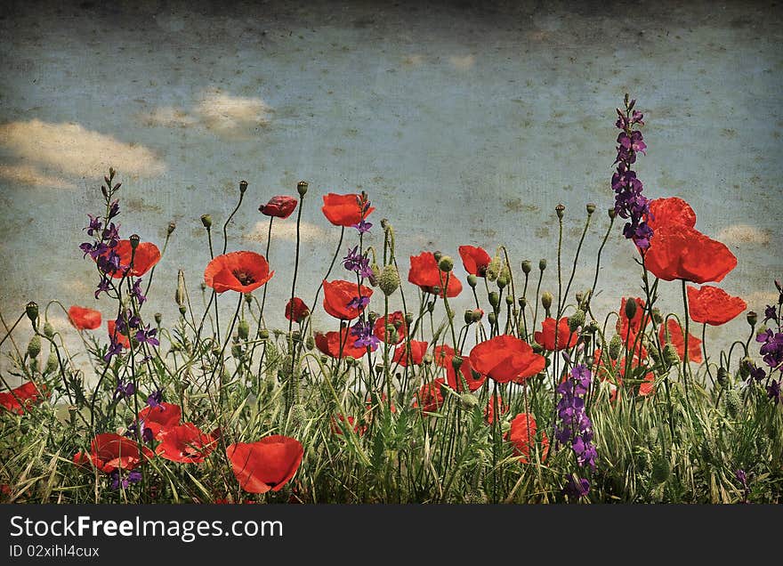 Vintage background with poppy flowers