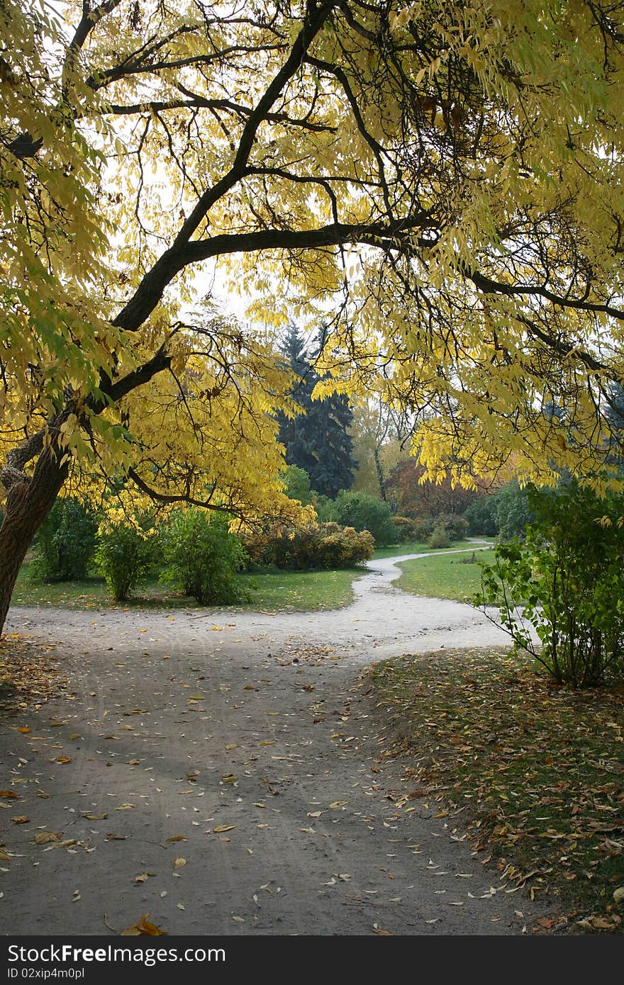 Autumn Landscape