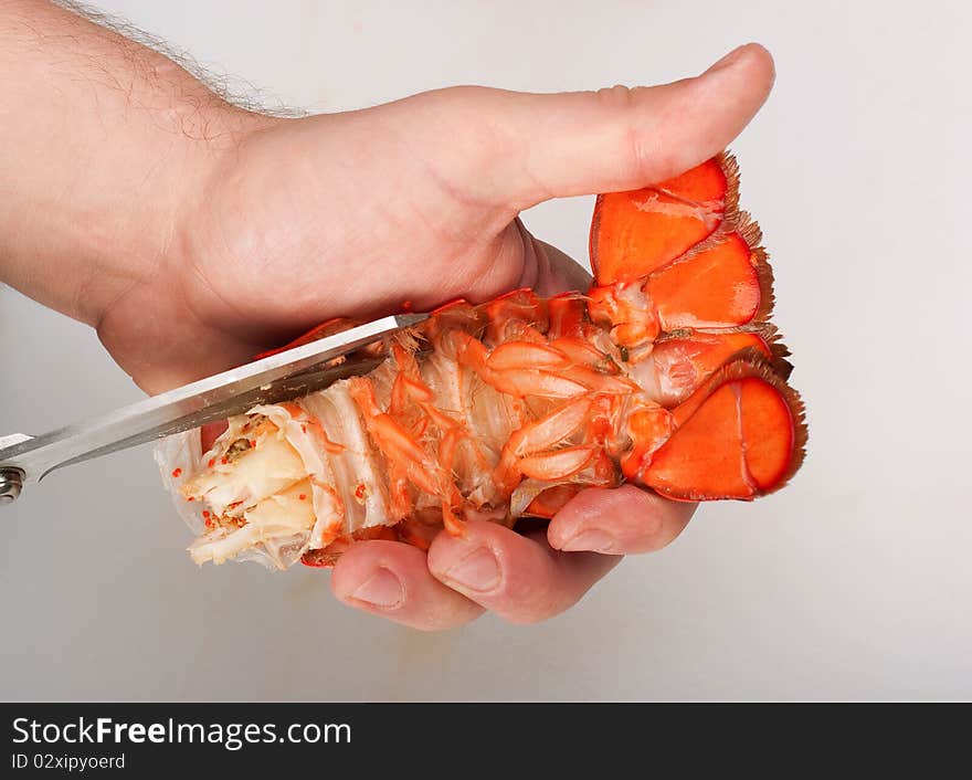 Lobster, cutting of tail by cook