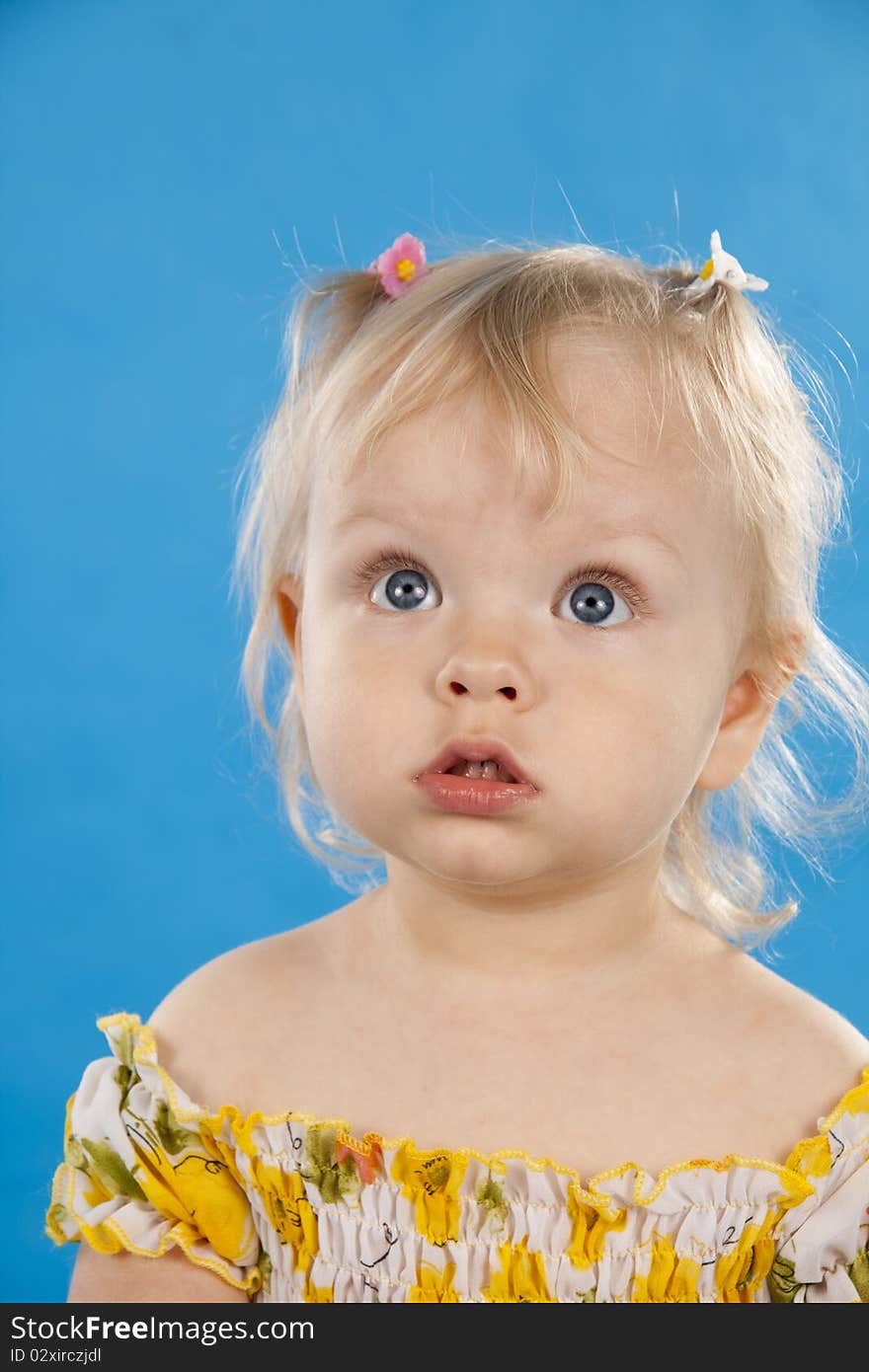 Small lovely girl on a blue background.