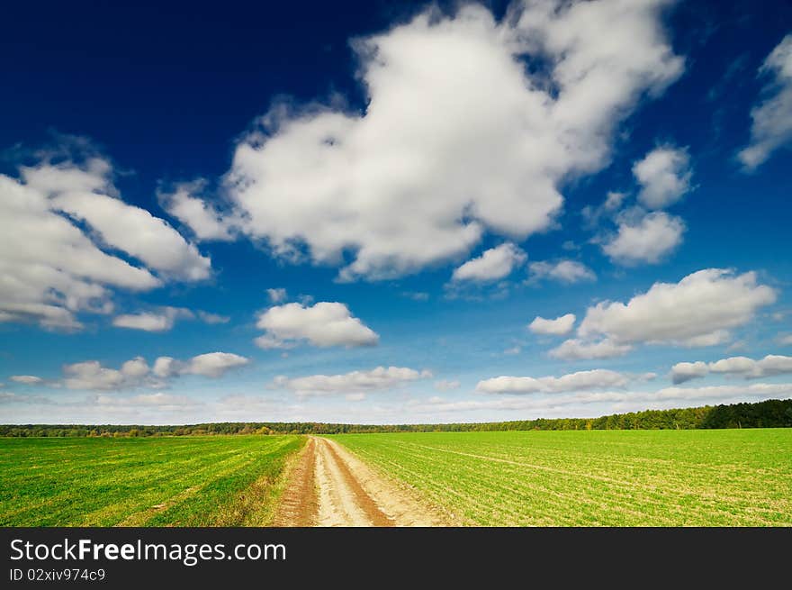 Magnificent cumulus clouds  and autumn field.