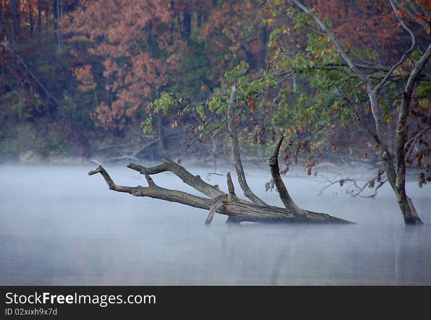 Eerie Fog