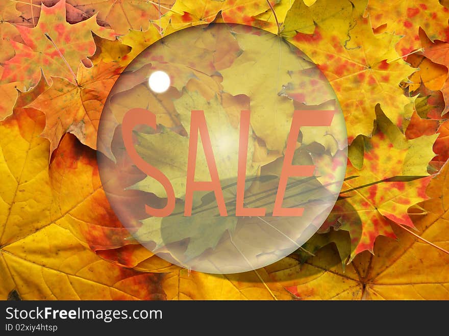 Autumn sheet and sale