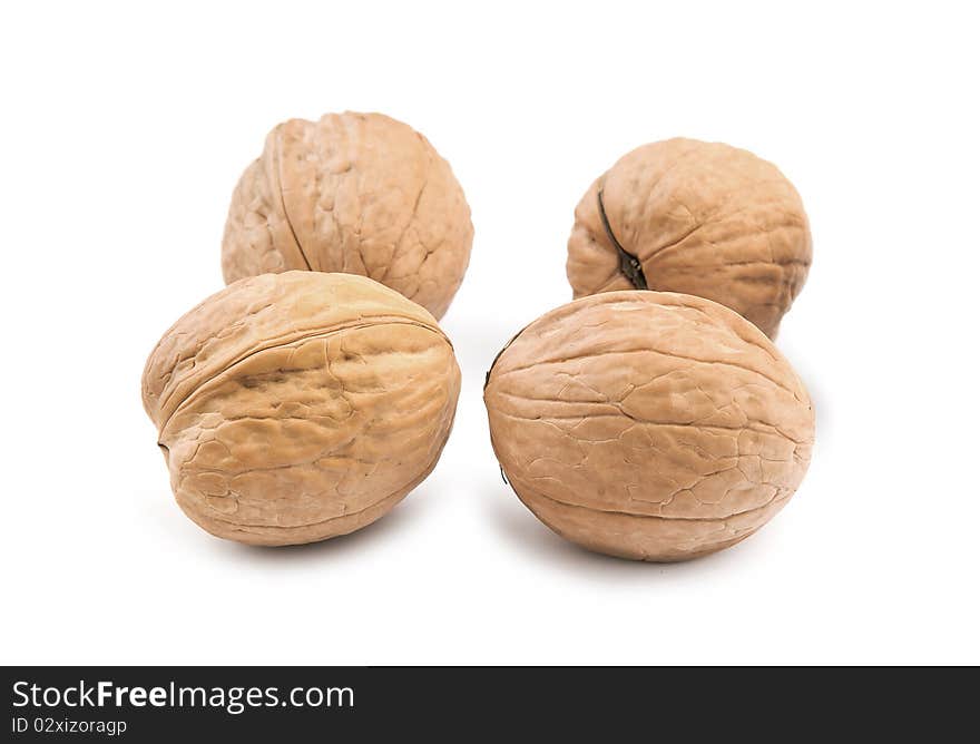 Circassian walnut isolated on the white background