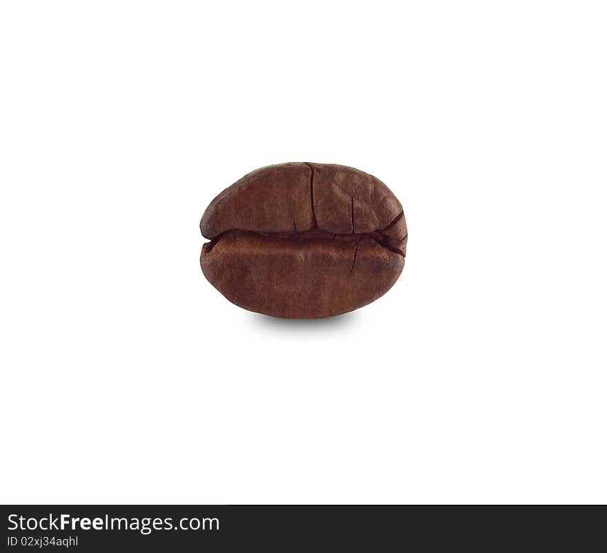 Coffee bean macro