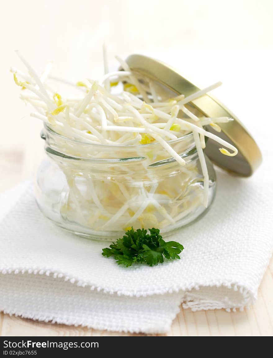 Fresh sprouts in a jar. Fresh sprouts in a jar