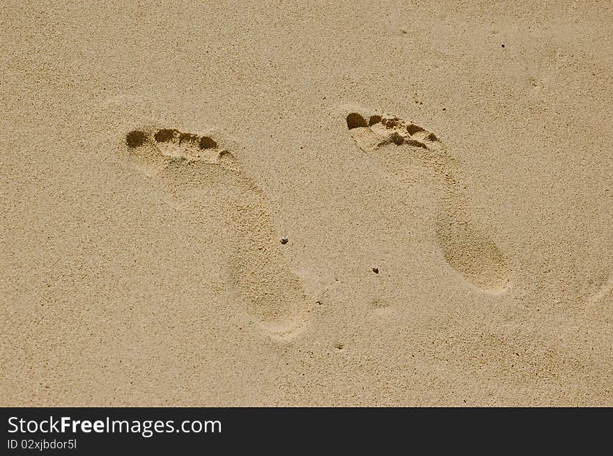 Traces of feet of a loving couple on sea sand