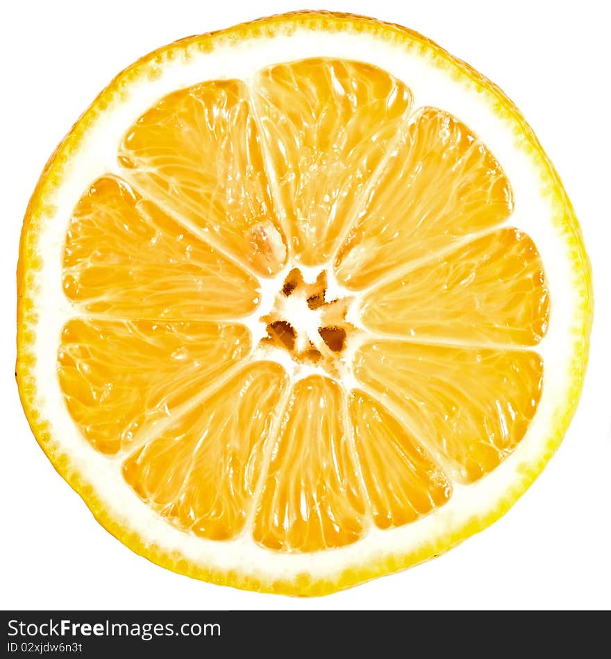 Lemon cross section