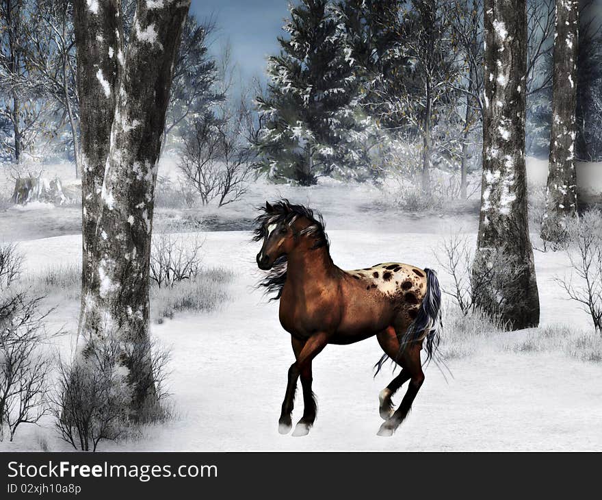 Horse in winter