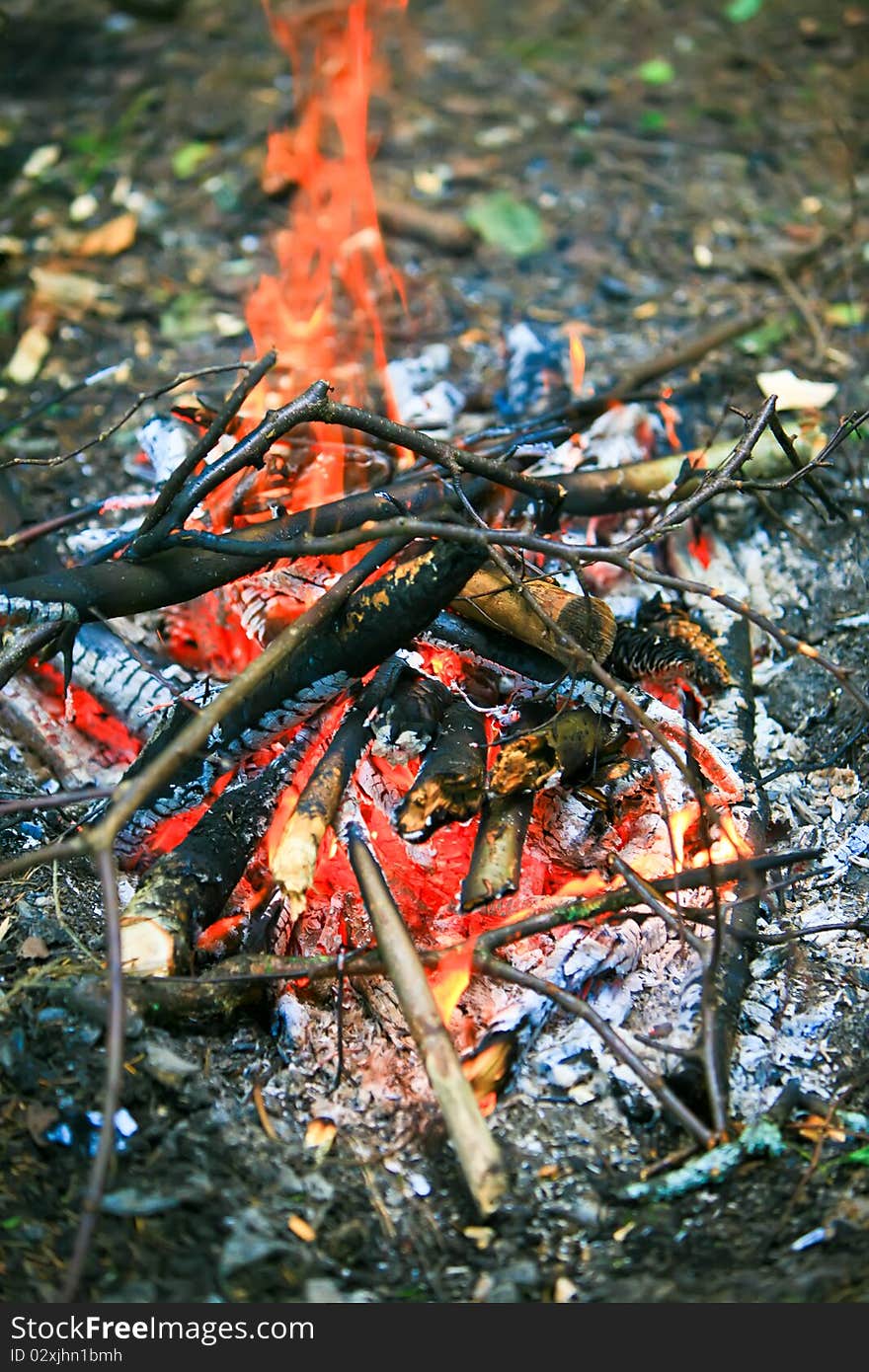 Camping. Holidays in the woods. Bright-burning fire