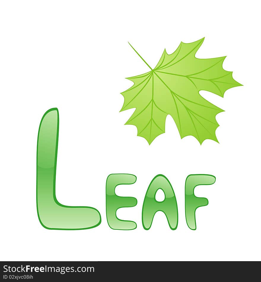 Funny alphabet for children. Leaf - letter L. Funny alphabet for children. Leaf - letter L.