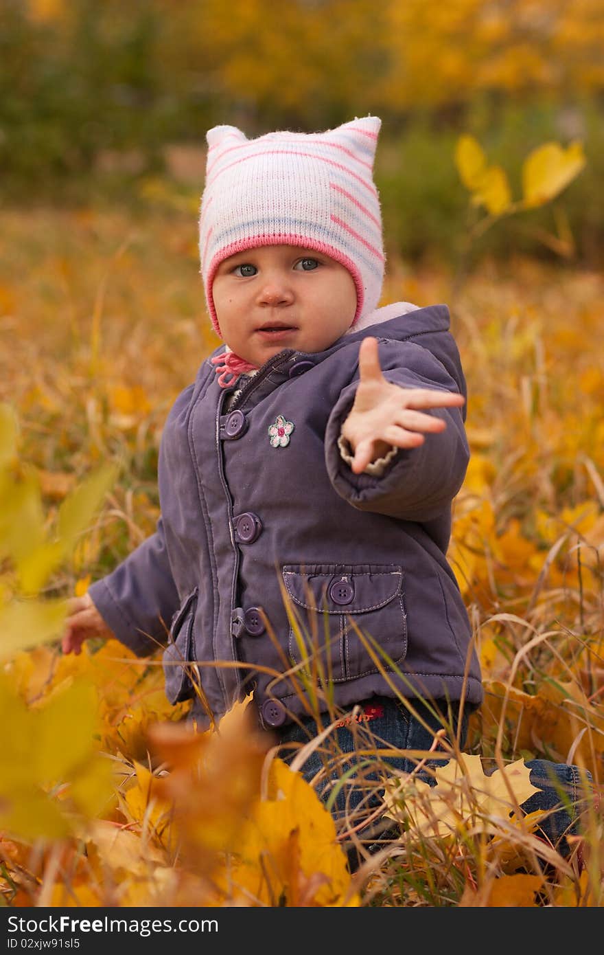 Cute baby girl in autumn leaves. Cute baby girl in autumn leaves