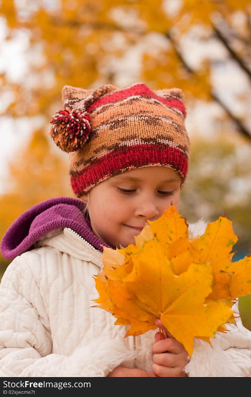 Girl Gathering Yellow Maple Leaves