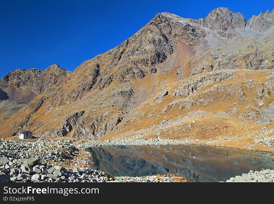 Tonolini mountain dew at 2540 meters on the sea-level, near the Circle lake, Brixia province, Lombardy region, Italy