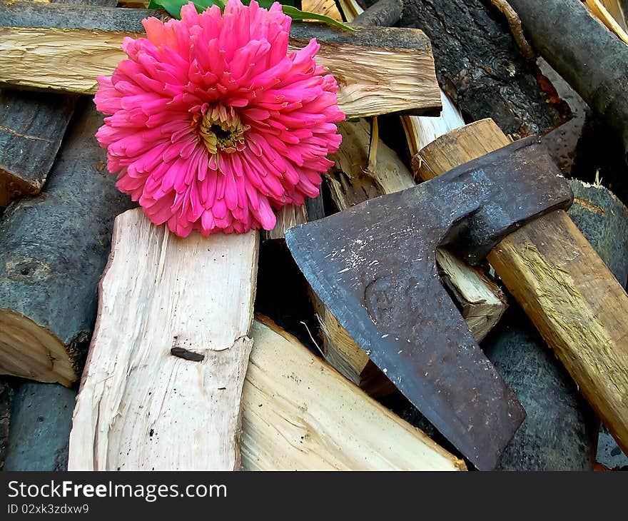 Chopped with an ax wood for heating in winter. Chopped with an ax wood for heating in winter.