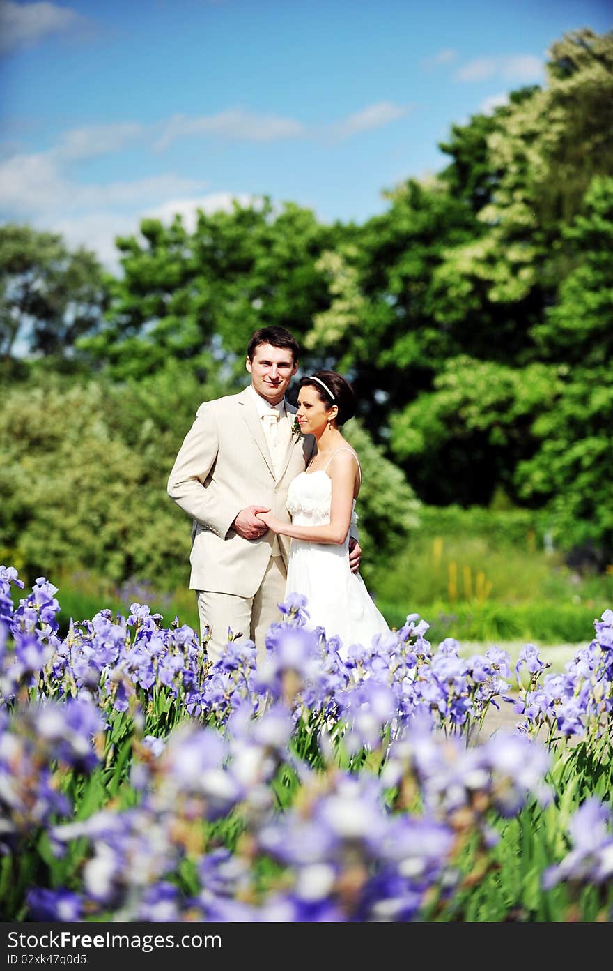 Groom and bride in white dress on background of green trees. Groom and bride in white dress on background of green trees