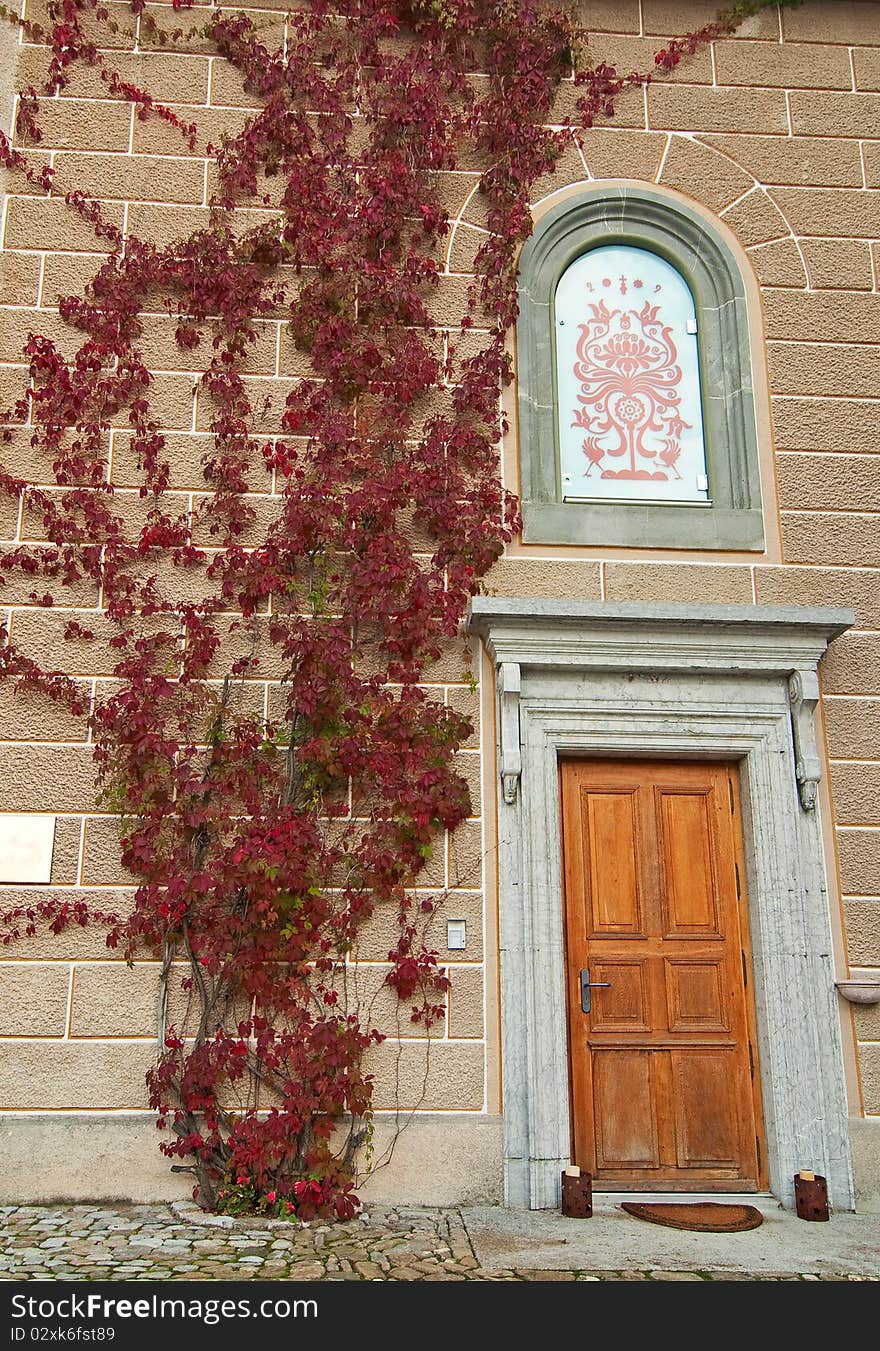 An entrance to a house with creeprers. An entrance to a house with creeprers