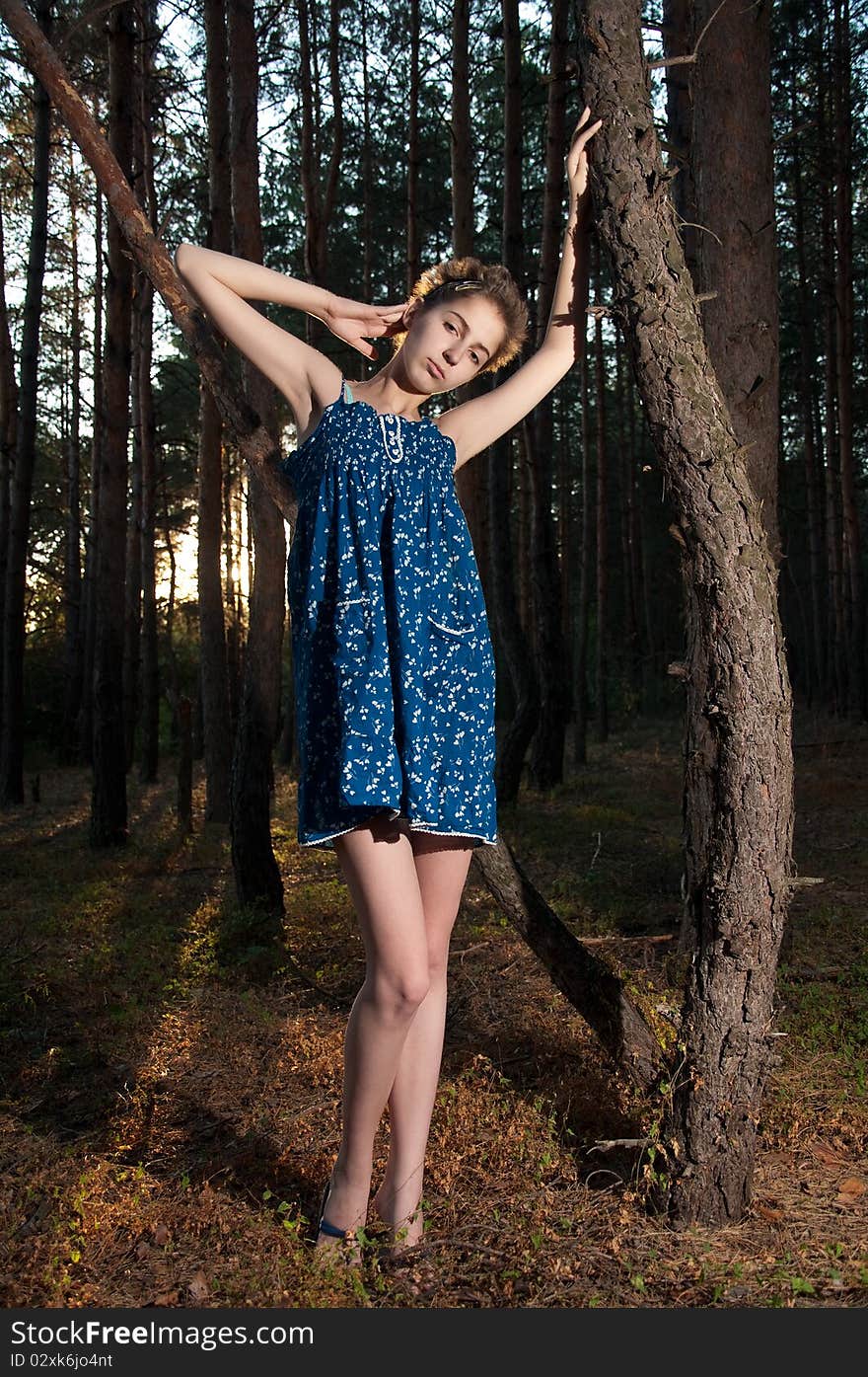 Young woman in a blue short dress at sunset in a pine forest. Young woman in a blue short dress at sunset in a pine forest